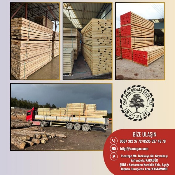 Can Ağaç Tanıtım 4