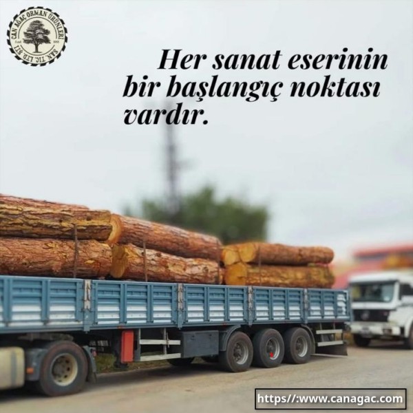 Can Ağaç Tanıtım 7